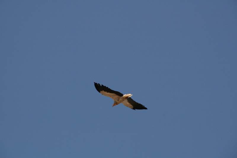 India & Nepal 2011 - 1012